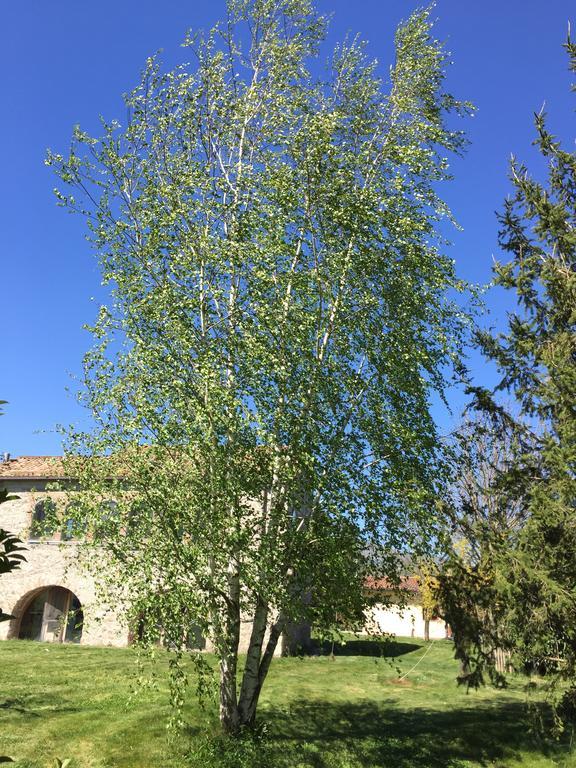 Agriturismo Le Due Arcate San Massimo (Molise) Exterior photo